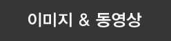 이미지&동영상