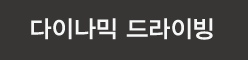 다이나믹 드라이빙