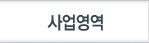 사업영역